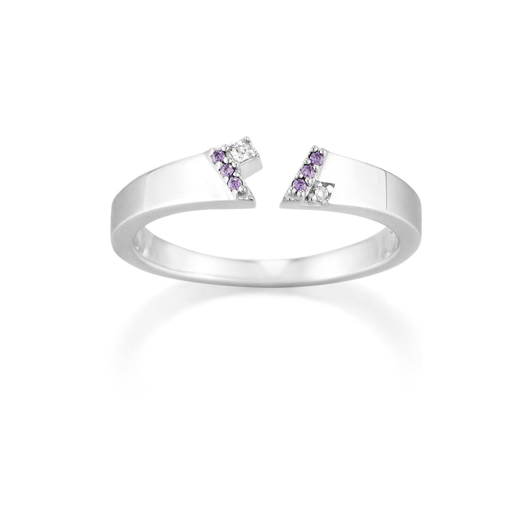 P.B Collection Ring -PAUL BRIAL- DynaMart
